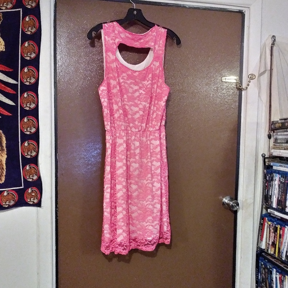 nwt pink lace hollowed back skater dress